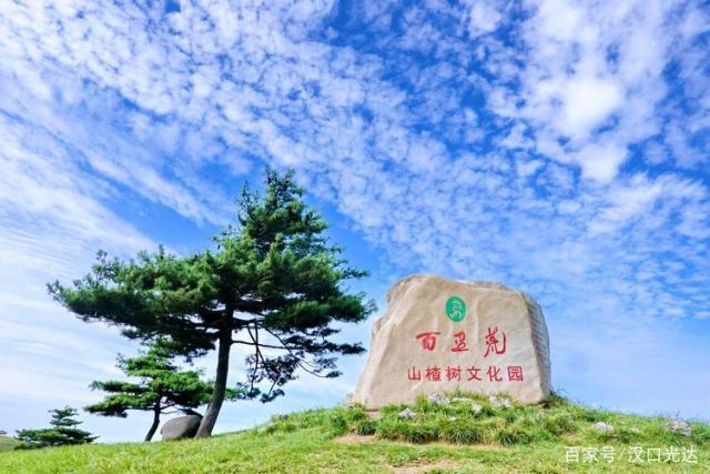 山楂樹文化園”有座老電影館 百里荒與電影結(jié)...